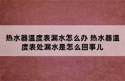 热水器温度表漏水怎么办 热水器温度表处漏水是怎么回事儿